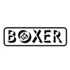 A powerful boxer performing a punch in training
